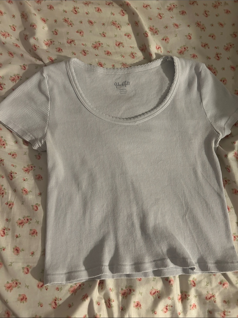 Brandy Melville Scoop Neck Crop Top